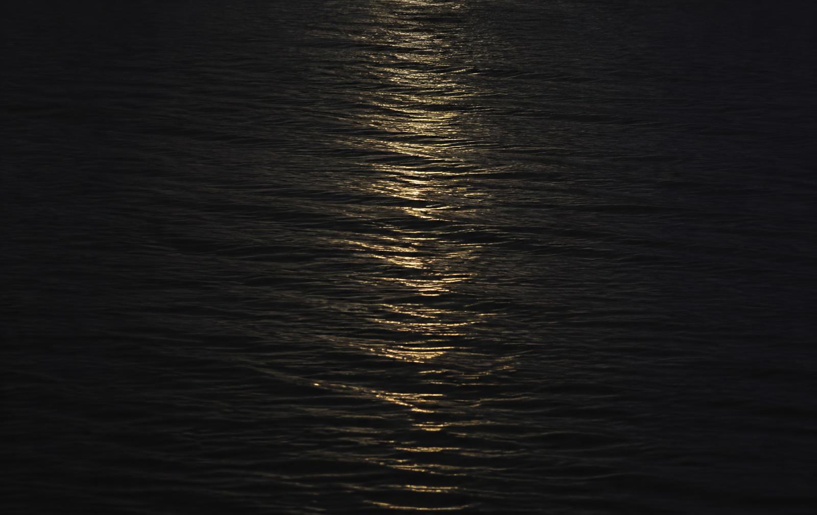 Saramā Crossed the River. Then They Tried to Buy Her.